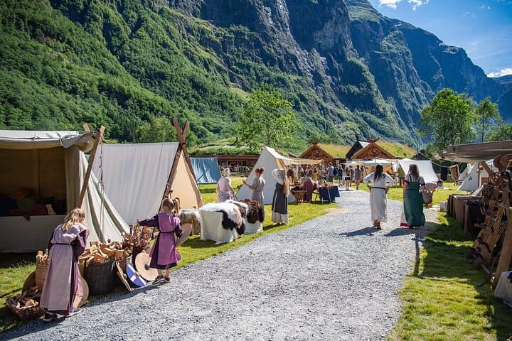 Naeroyfjord Cruise, Viking Village & Flåm Railway: Private Day Tour from Bergen