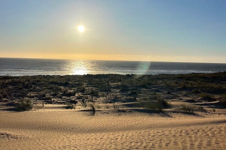 Essaouira & Diabat Quad Bike Tour — 1-Hour Beach and Dune Excursion photo 6