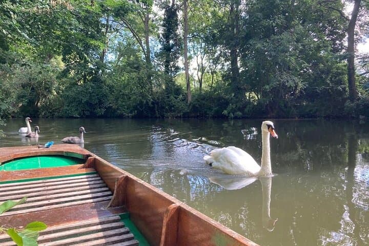 Oxford Punting on the Cherwell: Guided 1-Hour Private Punt with Oxbridge Tours photo 4