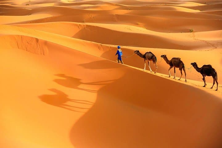 8-Day Sahara Highlights: Marrakech to Erg Chegaga, Essaouira & Ait Benhaddou photo 3