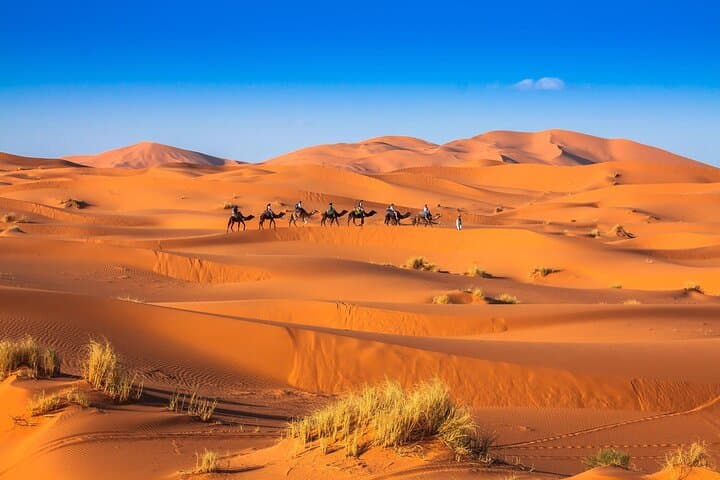 Marrakech to Zagora: 2-Day Desert Adventure with Nomad Camp & Camel Ride