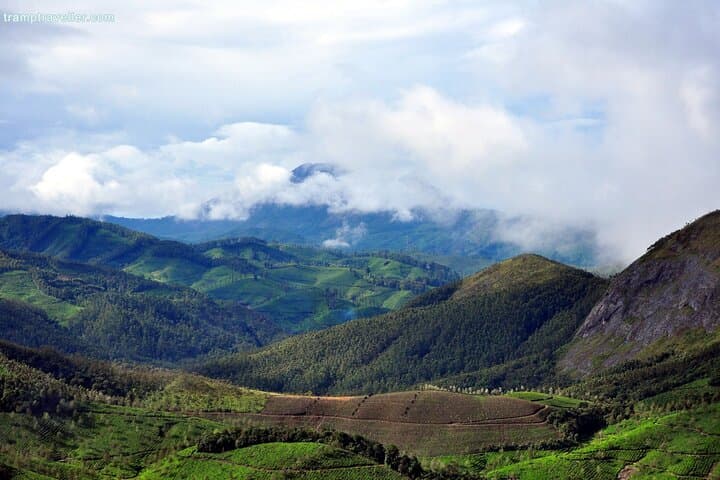Kochi to Munnar Day Tour — Tea Gardens, Waterfalls & Echo Point photo 3