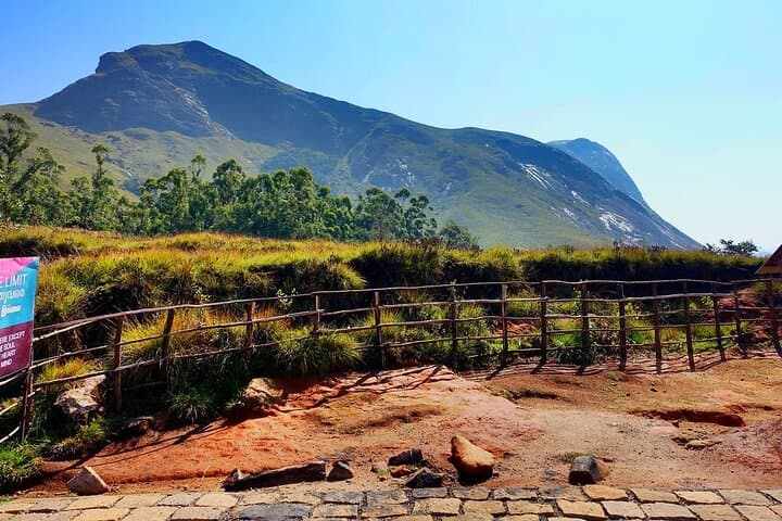Kochi to Munnar Day Tour — Tea Gardens, Waterfalls & Echo Point photo 4