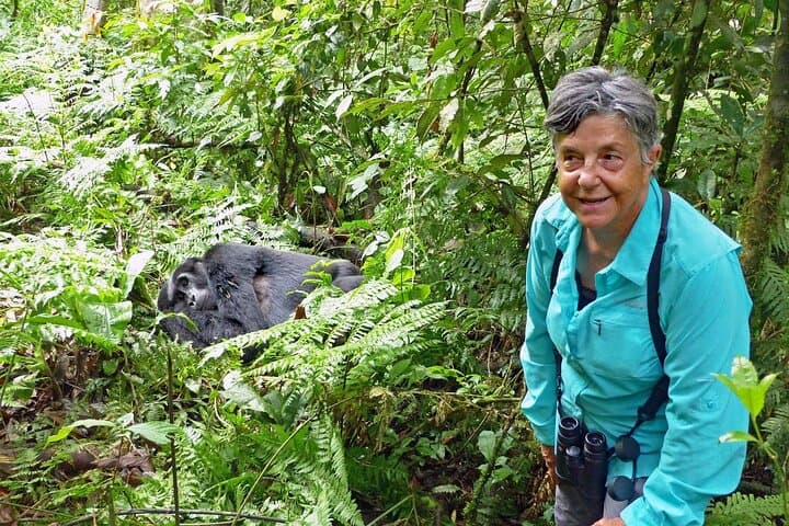 Five-Day Rwanda Wildlife Tour: Gorilla, Chimpanzee & Golden Monkey Trekking photo 2