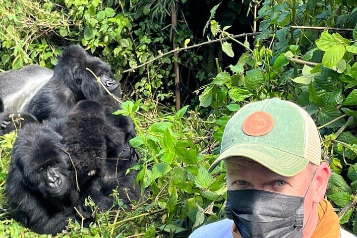 Five-Day Rwanda Wildlife Tour: Gorilla, Chimpanzee & Golden Monkey Trekking photo 6