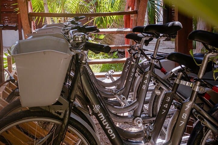 Bike Rentals in Tulum Downtown: 24‑Hour Tech‑Equipped Bikes to Explore Centro photo 2