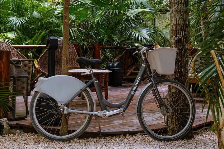 Bike Rentals in Tulum Downtown: 24‑Hour Tech‑Equipped Bikes to Explore Centro photo 3