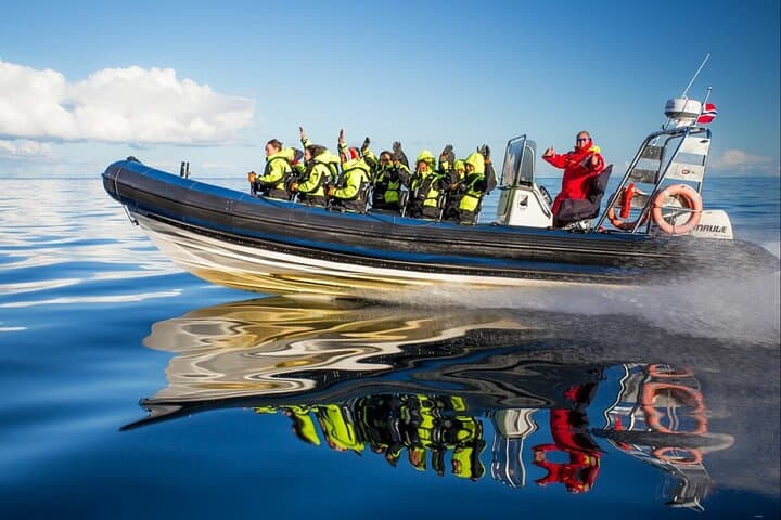 Sognefjord RIB Safari and Flåm Railway: Private Day Trip from Bergen photo 4
