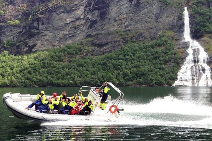 Sognefjord RIB Safari and Flåm Railway: Private Day Trip from Bergen
