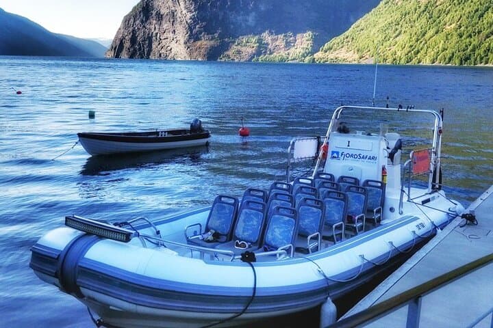 Sognefjord RIB Safari and Flåm Railway: Private Day Trip from Bergen photo 3