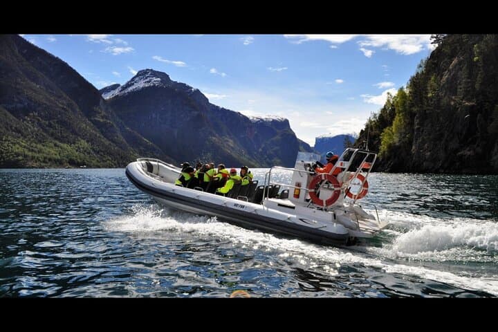Sognefjord RIB Safari and Flåm Railway: Private Day Trip from Bergen photo 6