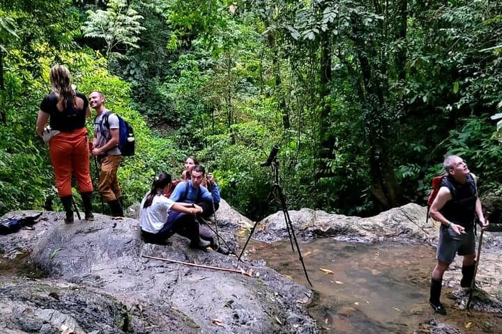 Private Trillo de la Danta: Dawn Hike in Bahia Drake's Corcovado Rainforest photo 2