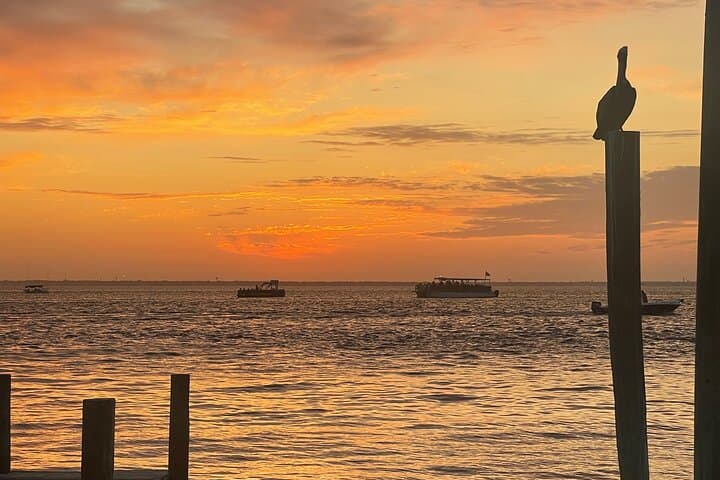 Emerald Coast Sunset Dolphin Cruise — Destin Evening Boat Tour photo 4