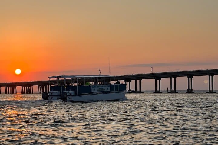 Emerald Coast Sunset Dolphin Cruise — Destin Evening Boat Tour photo 2