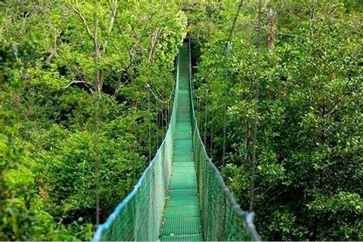 Ultimate Jungle Mega Experience near Arenal: Zipline, Hanging Bridges & Hot Springs photo 3