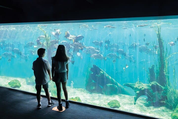 Sydney Zoo Bungarribee Wildlife Experience — Visitor Guide & Practical Tips photo 6