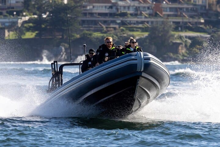 Small RIB Whale Watching from Sydney: Intimate High-Speed Ocean Tour