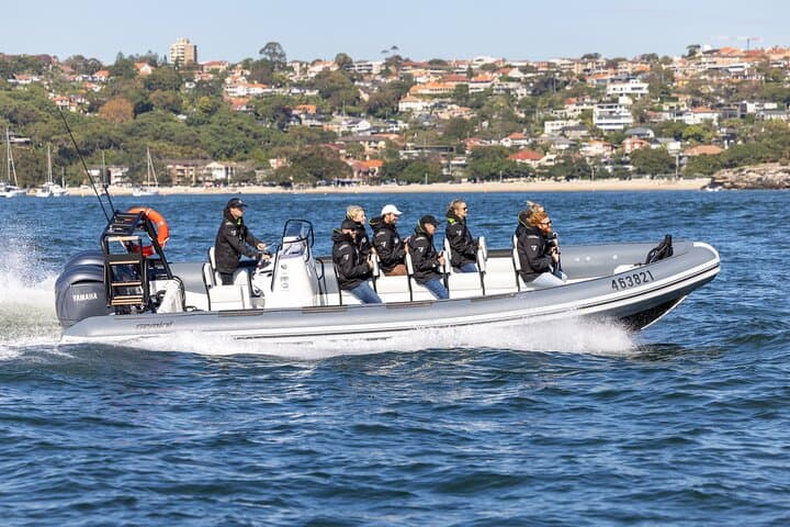 Small RIB Whale Watching from Sydney: Intimate High-Speed Ocean Tour photo 2