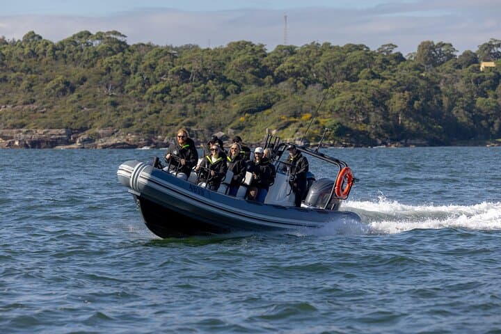 Small RIB Whale Watching from Sydney: Intimate High-Speed Ocean Tour photo 3