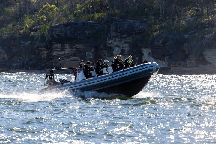 Small RIB Whale Watching from Sydney: Intimate High-Speed Ocean Tour photo 4