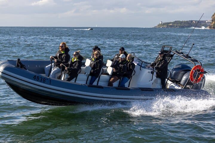 Small RIB Whale Watching from Sydney: Intimate High-Speed Ocean Tour photo 5