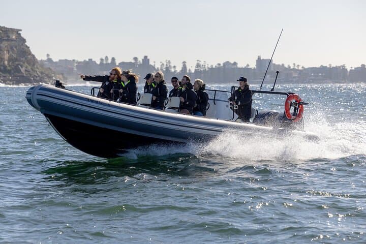 Small RIB Whale Watching from Sydney: Intimate High-Speed Ocean Tour photo 6