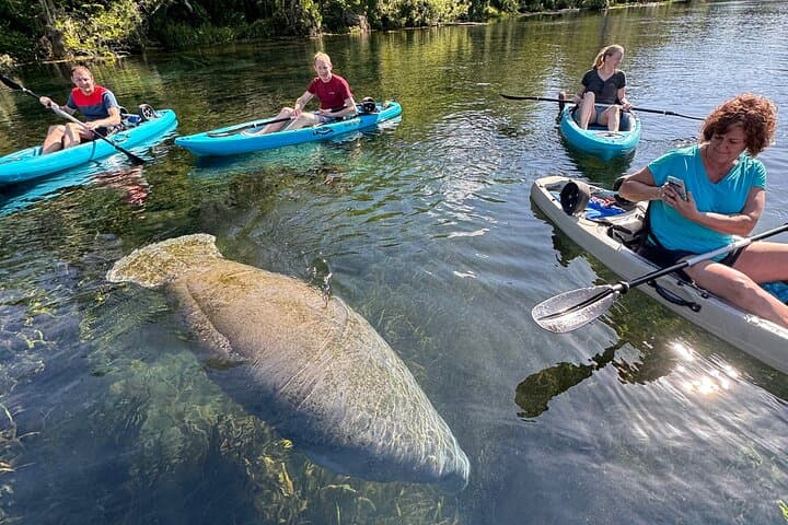 Silver Springs Glass-Bottom Kayak Tour — See Manatees, Monkeys & Underwater Ruins