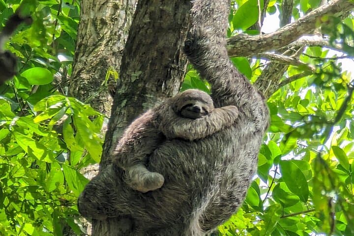 Private Waterfalls and Beaches Day Trip from Quepos, Costa Rica photo 2