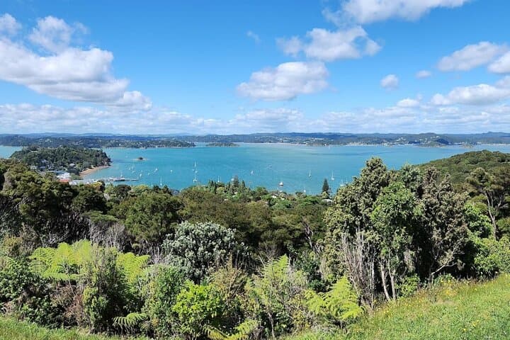 Discover the Bay of Islands: Small-Group Scenic Tour from Paihia photo 1