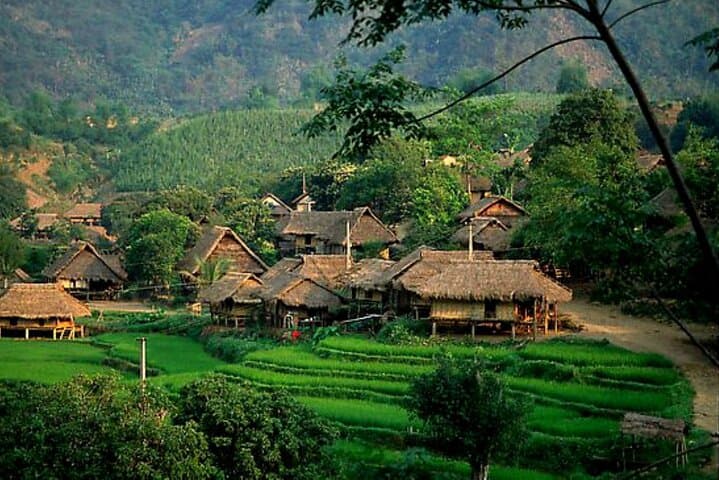 Mai Chau One-Day Private Excursion: Rice Paddies, Thai Stilt Villages & Trek from Hanoi photo 5