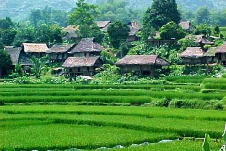Mai Chau One-Day Private Excursion: Rice Paddies, Thai Stilt Villages & Trek from Hanoi