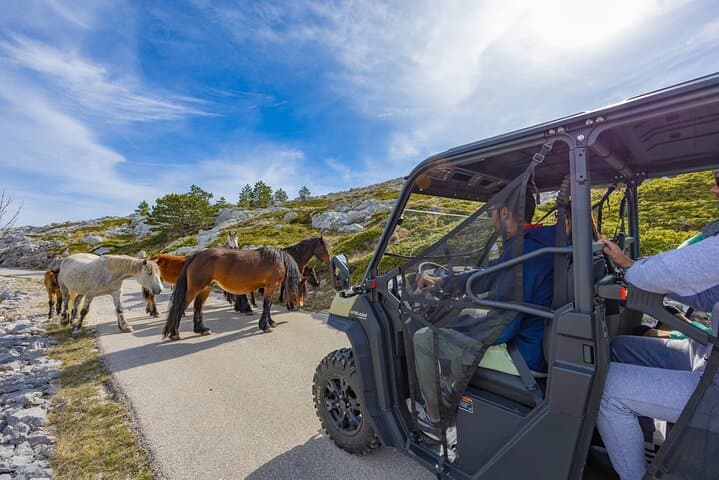 Biokovo Skywalk & Sinjal Viewpoint: Makarska Ridge Adventure photo 2