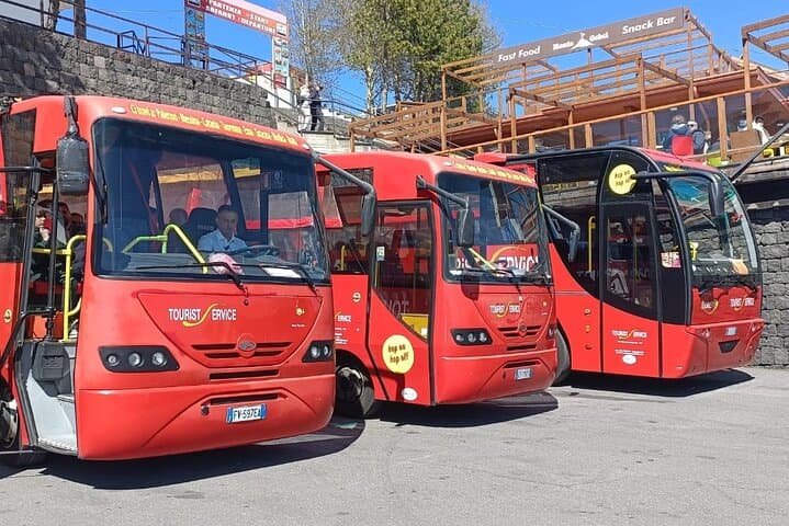 Bus Etna Experience: Panoramic Mount Etna Tour from Catania photo 6