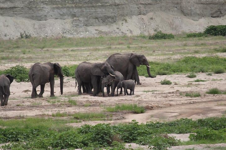 2-Day Mid-Range Safari to Tarangire & Ngorongoro Crater — Wildlife Safari from Arusha photo 1