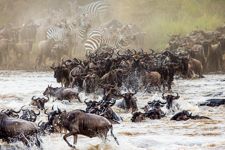 3-Day Serengeti and Ngorongoro Safari: Plains, Wildlife & Maasai Culture