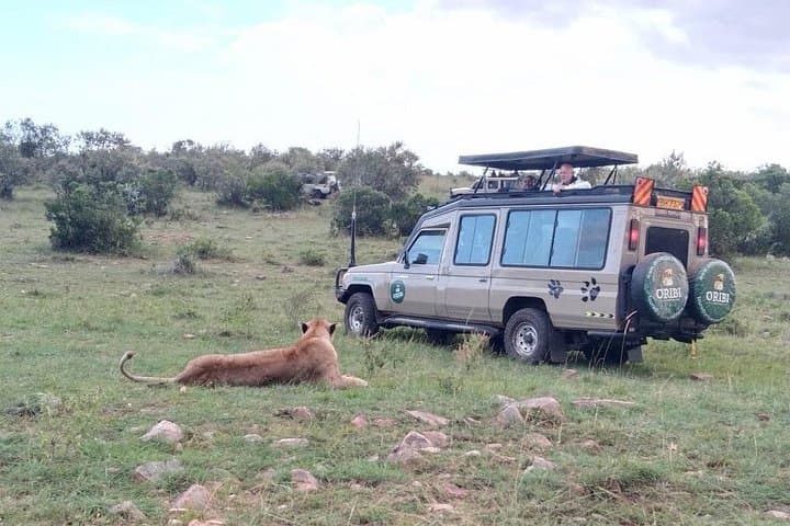 Explore Nairobi National Park: Half Day Safari Adventure Near Nairobi photo 4