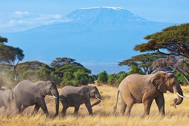 Oldonyo Sapuk Full-Day Hike from Nairobi — Private Guided Trek to Ol Donyo Sabuk photo 3