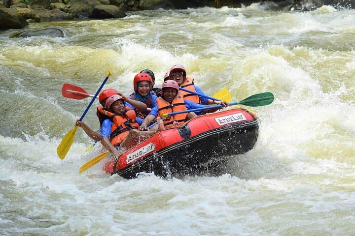 Ganga Whitewater: Shivpuri to NIM Beach Rafting in Rishikesh