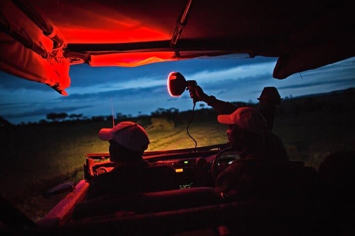 5-Day Night Safari from Arusha: Tarangire, Ngorongoro & Lake Manyara Wildlife Adventure photo 1