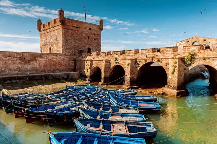 Essaouira Day Trip from Marrakech: Atlantic Coast, Argan Trees & Medina photo 4