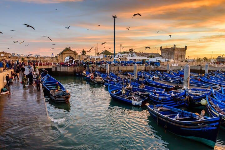 Essaouira Day Trip from Marrakech: Atlantic Coast, Argan Trees & Medina photo 5