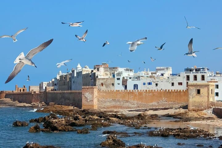 Essaouira Day Trip from Marrakech: Atlantic Coast, Argan Trees & Medina photo 6