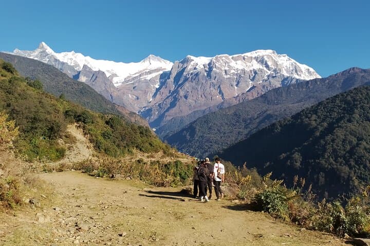 3-Day Sikles to Kapuche Glacier Lake Trek from Pokhara: Quiet Trails and Himalayan Views photo 4