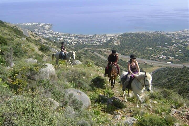 Mountain Horseback Ride from Hersonissos — 1.5-Hour Olive-Grove Trail in Crete photo 3