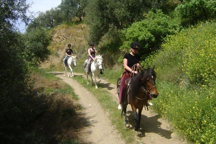Mountain Horseback Ride from Hersonissos — 1.5-Hour Olive-Grove Trail in Crete photo 4