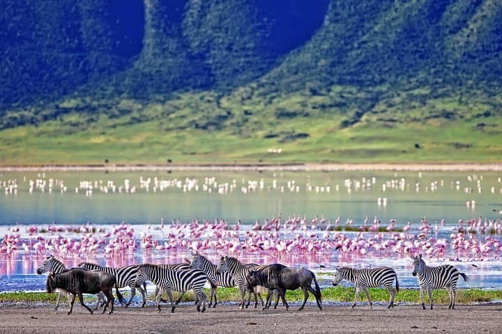 3-Day Serengeti and Ngorongoro Safari: Plains, Wildlife & Maasai Culture photo 2