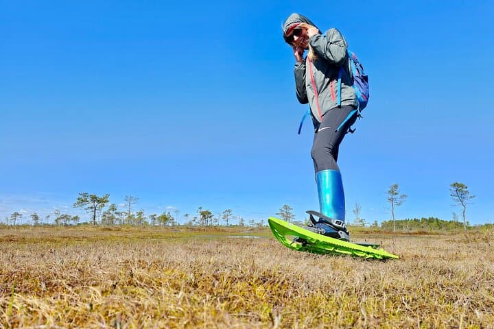 Ķemeri Bog-Shoes Adventure: Walk Latvia’s Floating Bogs