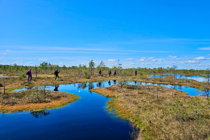 Ķemeri Bog-Shoes Adventure: Walk Latvia’s Floating Bogs photo 3