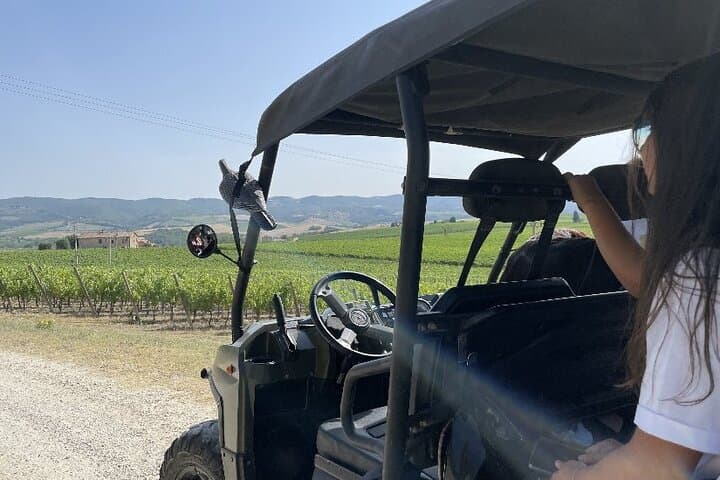 Chianti Wild Safari: Quad-Drive Through Vineyards with Winery Tasting photo 2