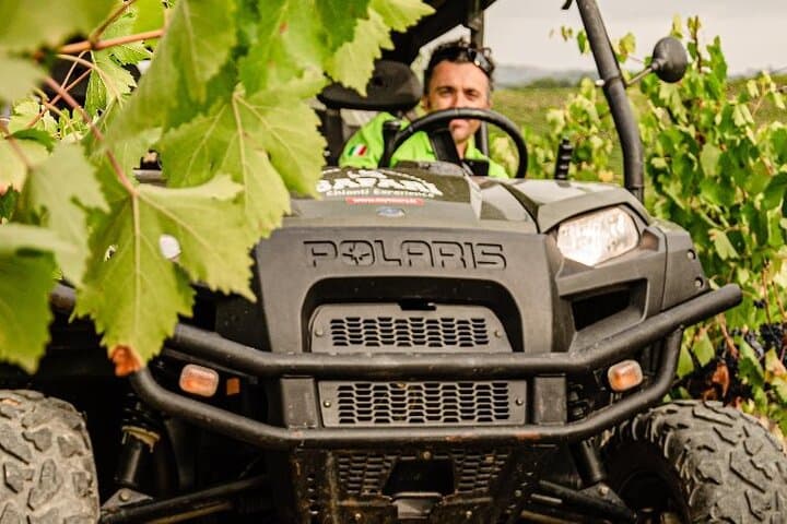 Chianti Wild Safari: Quad-Drive Through Vineyards with Winery Tasting photo 3